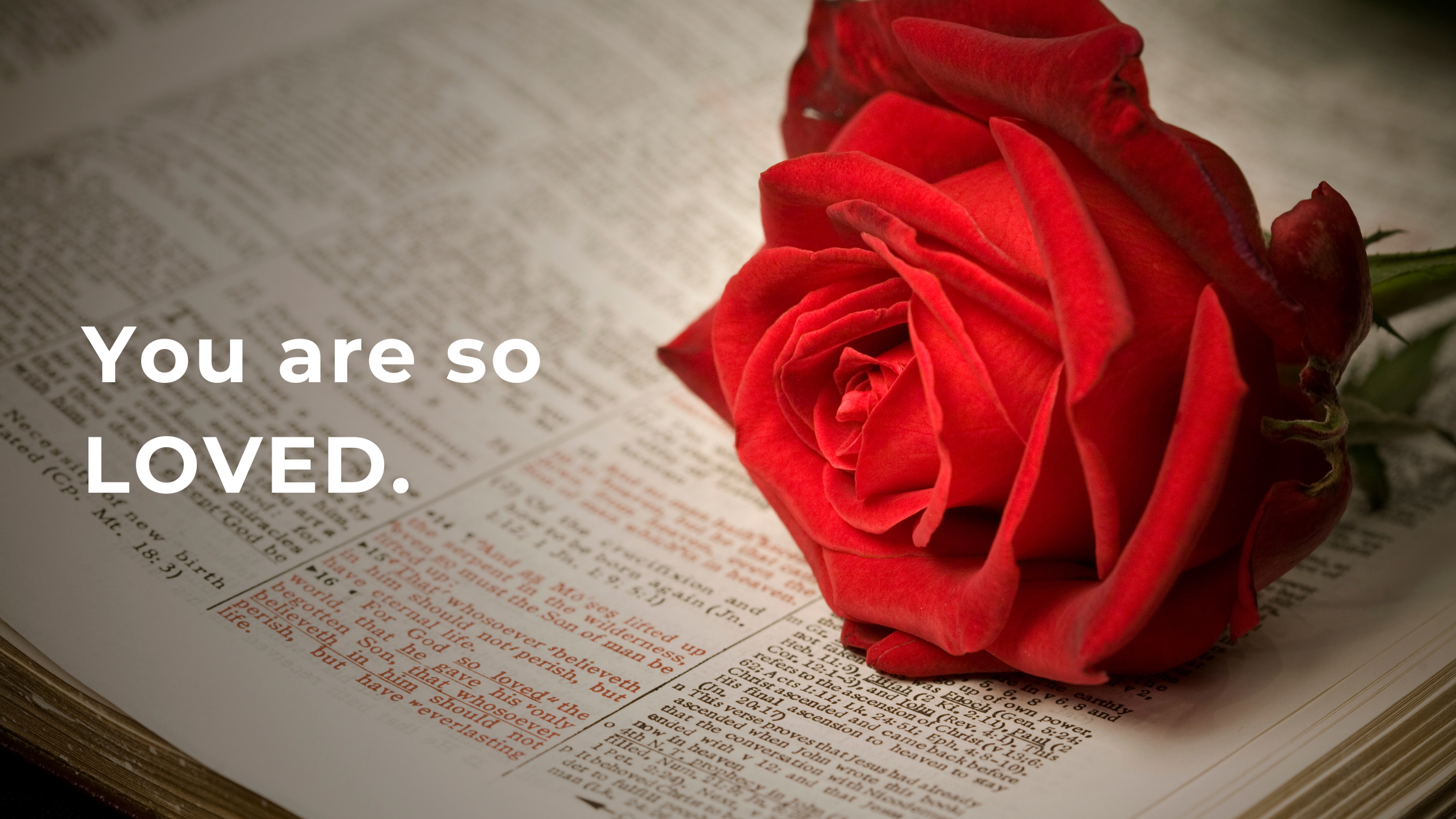 Single red rose laying on the Holy Bible. Text that reads "You are so loved."